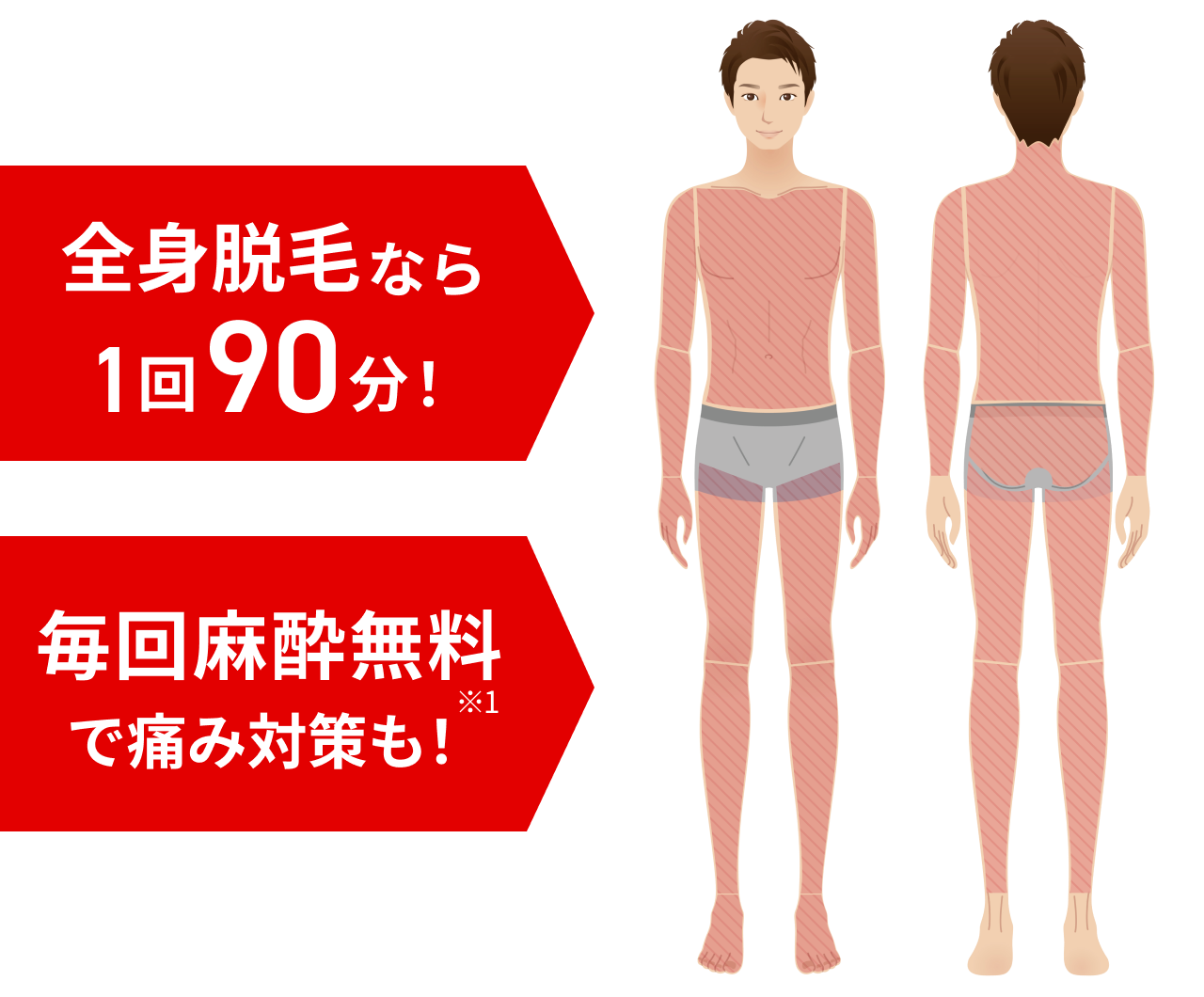 全身脱毛なら1回90分！毎回麻酔無料（※1）で痛み対策も！