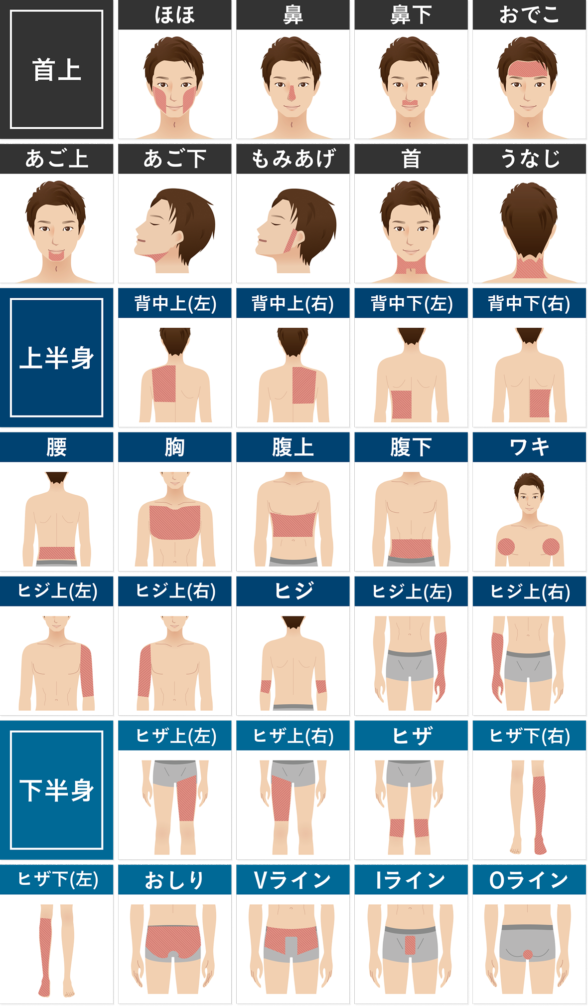 全32部位イメージ画像