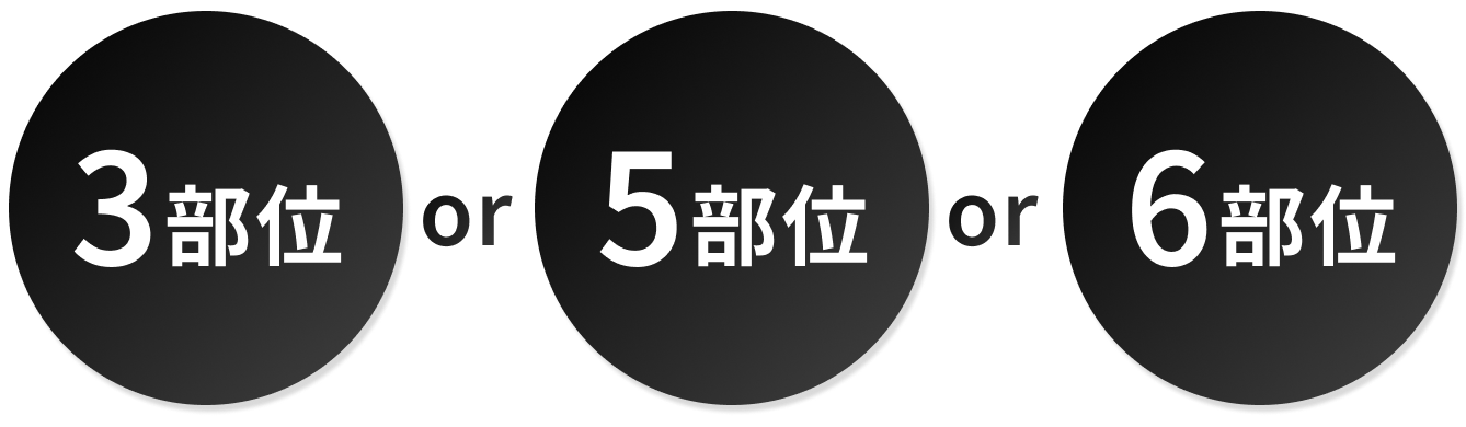 「3部位」or「5部位」or「6部位」