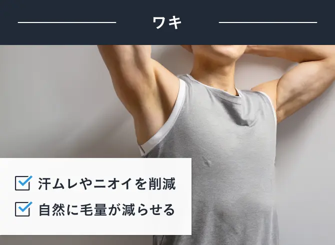 ワキ