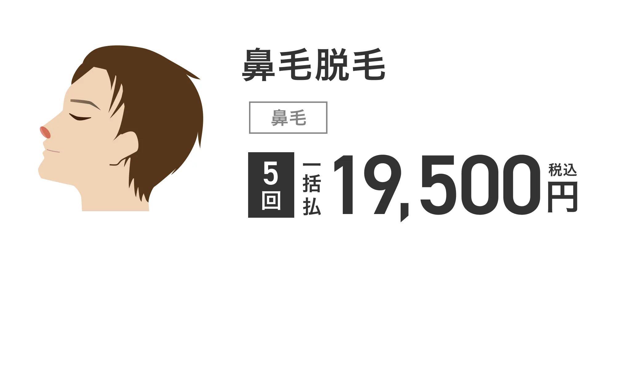 鼻毛脱毛 5回 一括払 税込 19,500円