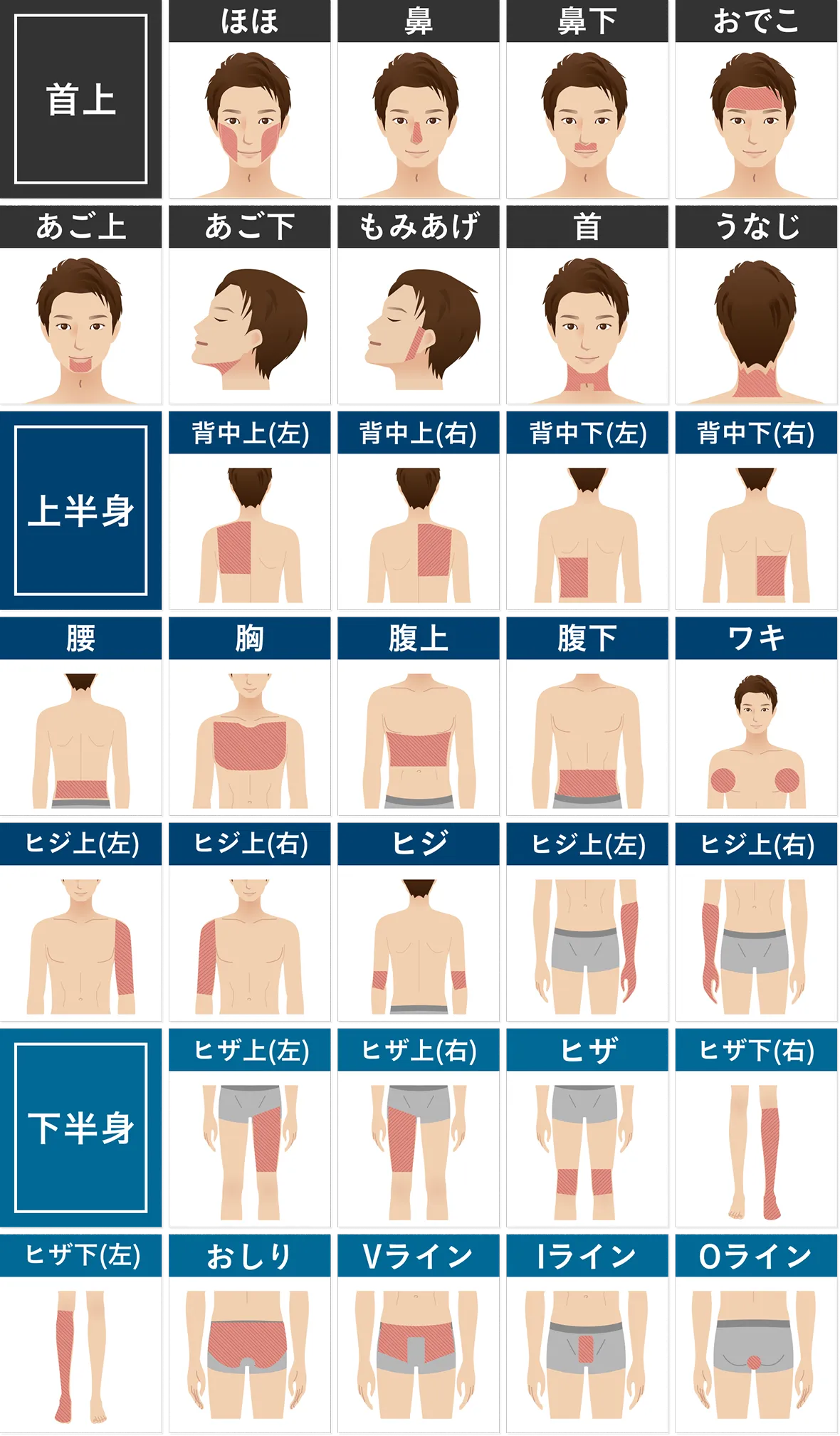 全32部位イメージ画像