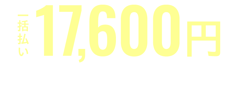 一括払い17,600円