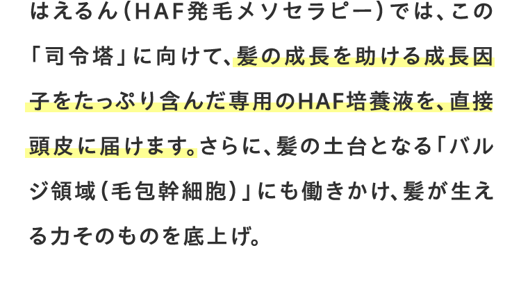 HCE治療では、この「司令塔」に向けて、髪の成長を助ける成長因子をたっぷり含んだ専用のHCE培養液を、直接頭皮に届けます。さらに、髪の土台となる「バルジ領域（毛包幹細胞）」にも働きかけ、髪が生える力そのものを底上げ。
