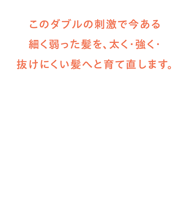 このダブルの刺激で今ある 細く弱った髪を、太く・強く・ 抜けにくい髪へと育て直します。