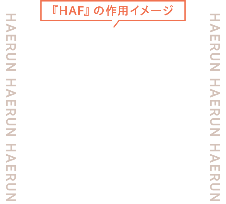 HCE治療の作用イメージ