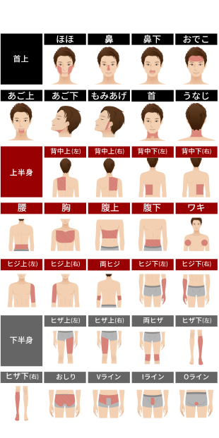 セレクト全身脱毛 部位選択イメージ
